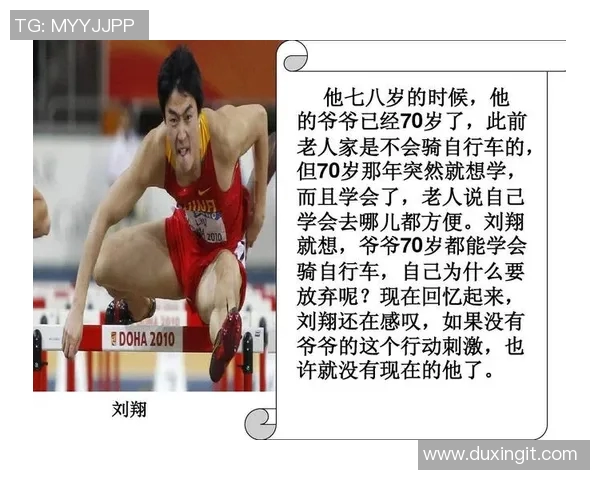 全球最富有的体育明星排行榜揭秘财富背后的故事与成就