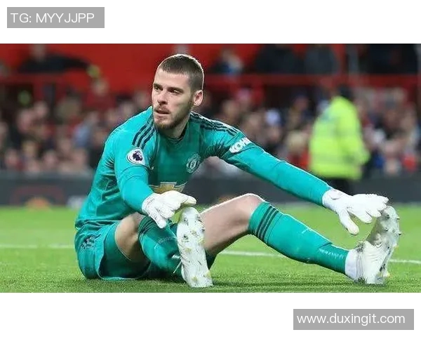 德赫亚的传奇之路：从青涩少年到世界级足球明星的成长故事