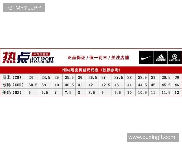 8号明星篮球鞋的价格揭秘及购买建议一览